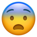 :frightened: